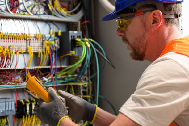 Best Electric Panel Repair  in Fair Grove, MO
